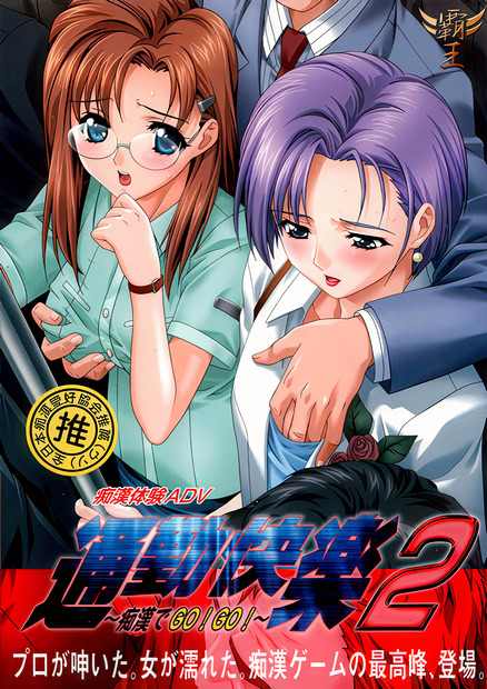 Tsuukin Kairaku: Chikan de Go!!