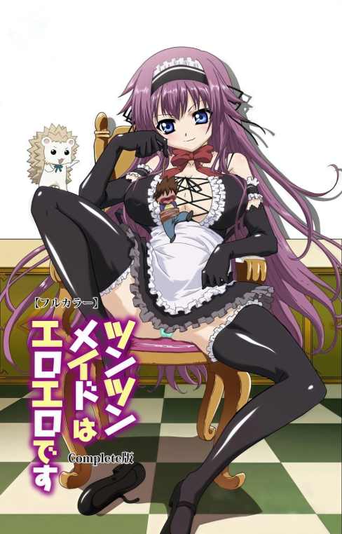 Tsun Tsun Maid wa Ero Ero Desu
