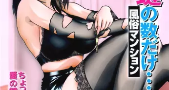 Хентай Ai ha Kagi no Kazu Dake